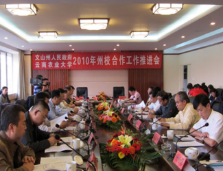 苗鄉(xiāng)三七與云南農(nóng)大簽署校企合作協(xié)議，構(gòu)建了戰(zhàn)略聯(lián)盟關(guān)系